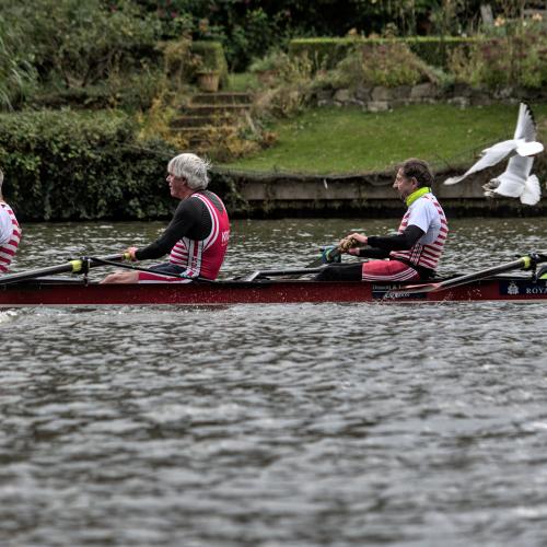 Four older men in a 4+ rowing boat, wearing red and white striped kit